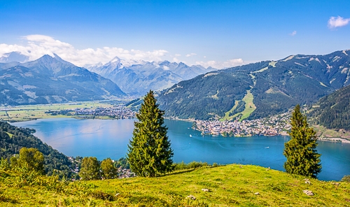 green trees with lake and mountains behind in austria